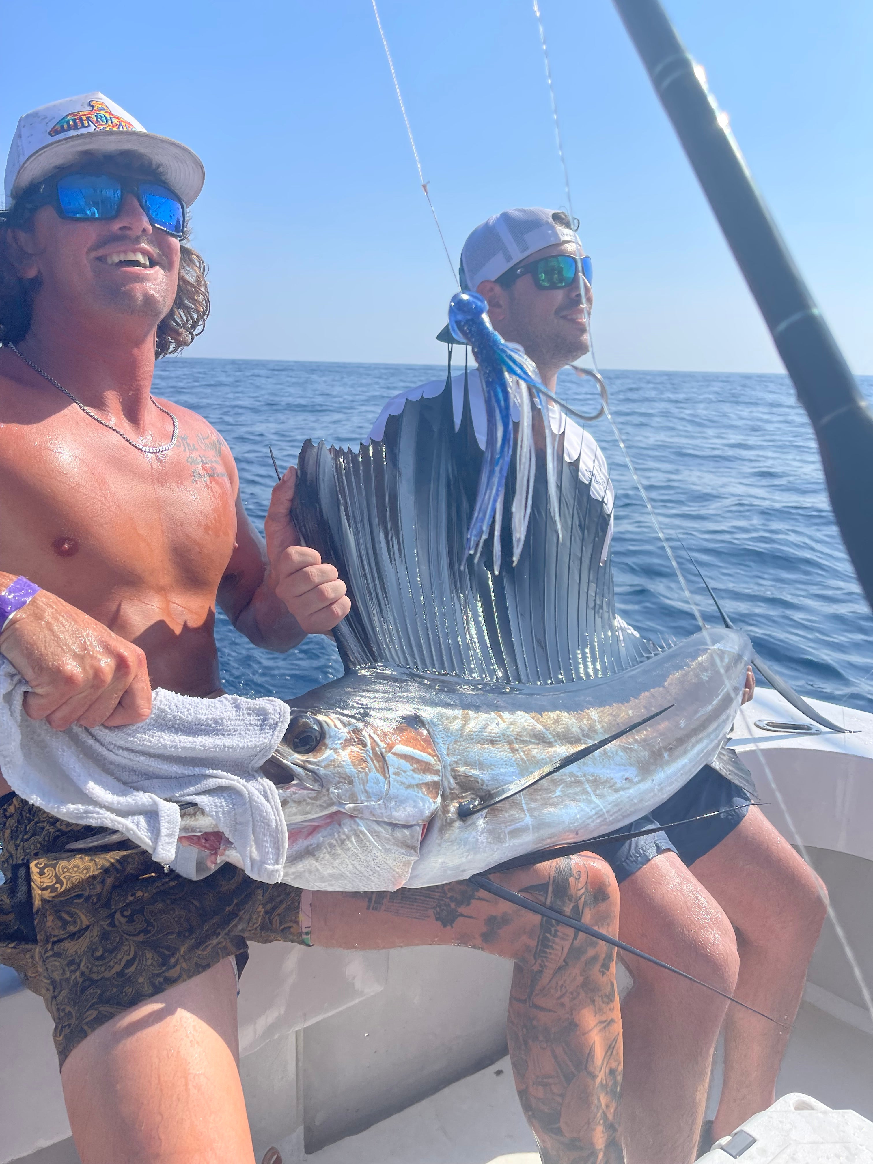 Sail Fish